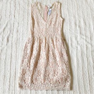 (4 for $20) BABATON (Aritzia) Anton Pink Lace Dress Sz 6 NWT